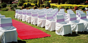 Lavender a natural colour