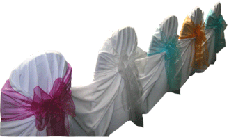 photo organza pink, silver, green, pumpkin, blue