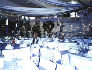 illuminate the night