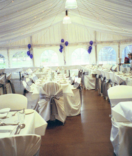 silver with a touch of blue