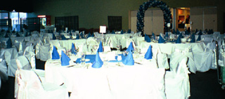 classic blue and white